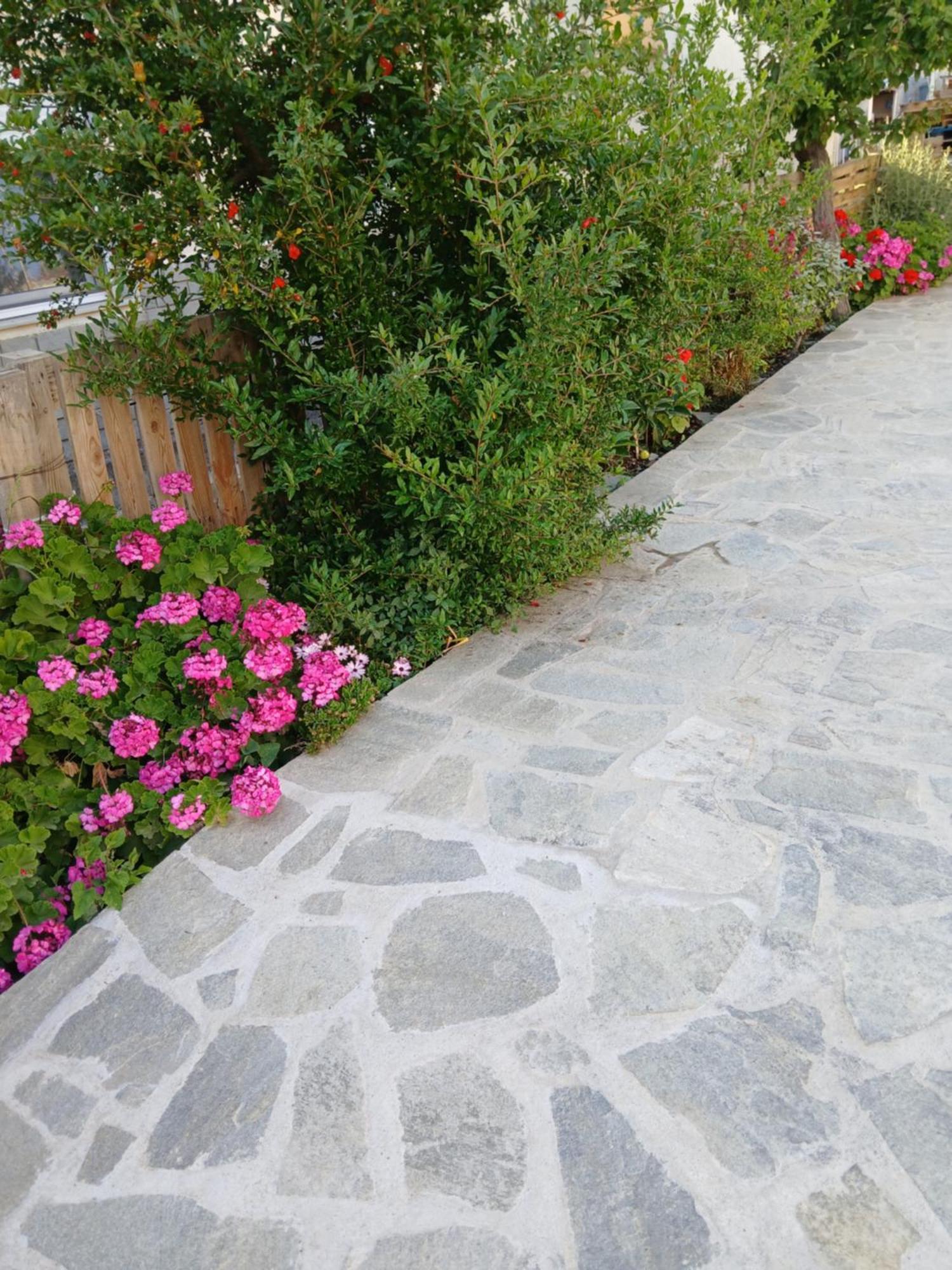 Alana Cozy Place Limenaria  Exterior photo